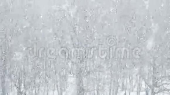 从空中俯瞰森林的大雪视频的预览图