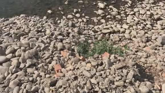 出口到一条山河的岩石海岸水流湍急地平线上有一条山链视频的预览图
