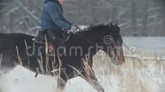 马术运动红马骑手在雪地里驰骋视频的预览图