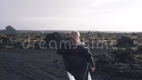 冰岛的少女视频的预览图