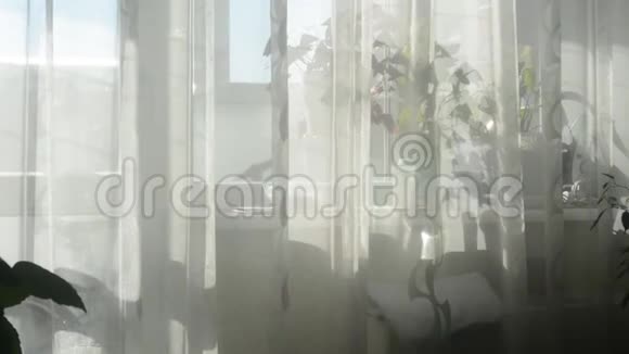 阳光透过窗户透过浅色窗帘视频的预览图
