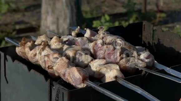 夏天在邋遢的地方用金属木煮肉视频的预览图