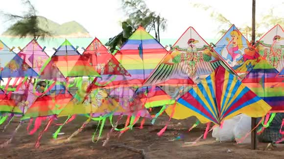 风筝的艺术视频的预览图