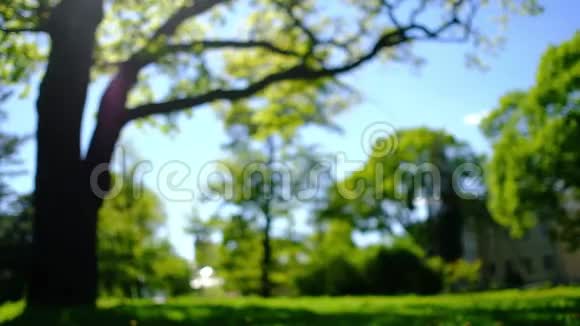 阳光明媚的夏日一个快乐体贴的梦想家在花园里散步坐在公园的绿草上视频的预览图