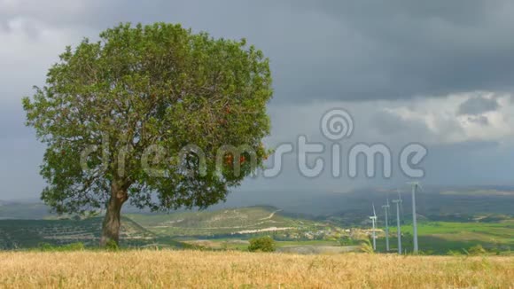 绿树在田野里生长风力涡轮机旋转暴风雨的天空实时拍摄视频的预览图