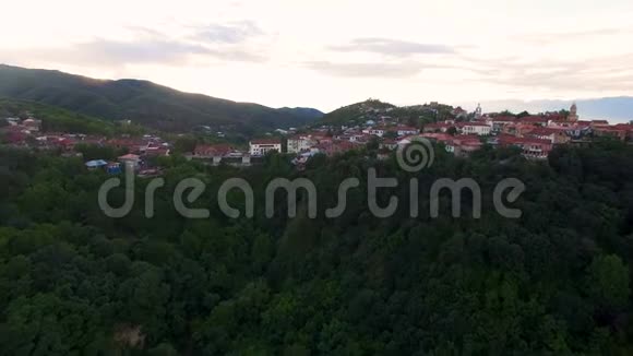 位于青山上的锡格纳吉镇令人惊叹的全景生态旅游视频的预览图