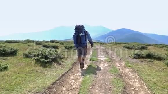 游客去山里视频的预览图