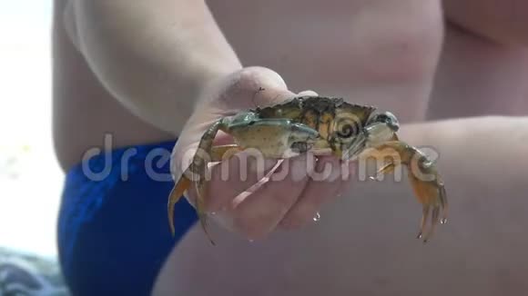 螃蟹是由一只雄性手保存在黑海沿岸视频的预览图