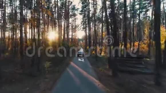 阳光下的森林中的老式汽车视频的预览图