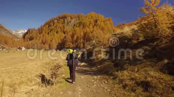 女徒步旅行者走在秋天的田野上沿着靠近树木的小路到达村庄从后面看晴朗的秋日视频的预览图