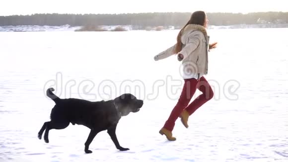 黑拉布拉多犬和小女孩在雪地上奔跑视频的预览图