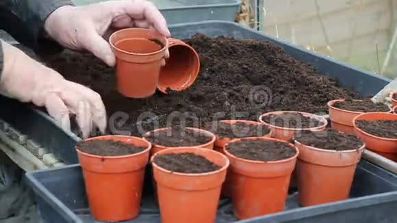 用堆肥填充植物或花盆视频的预览图