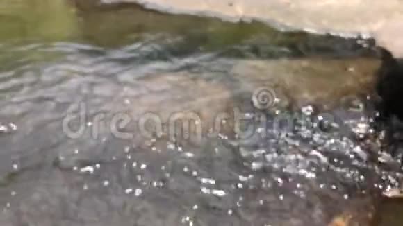 水流缓慢河水清澈视频的预览图