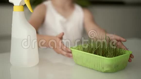 一个不可辨认的金发女孩在家里用罐子浇草视频的预览图