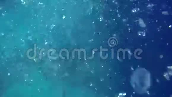 海里的小气泡视频的预览图