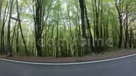 在自然公园里穿过树林来到湖边的人视频的预览图