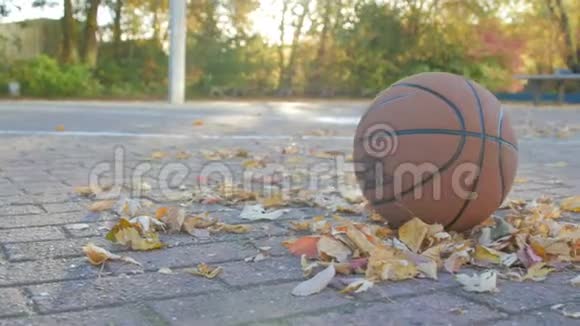 秋天在球场上打黄叶篮球相机从左边篮球出现在图片中视频的预览图