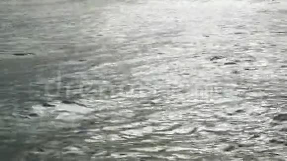 软波运动对水的特写视频的预览图