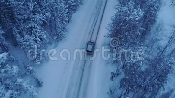 银车在雪林的冬日乡间小路上行驶视频的预览图