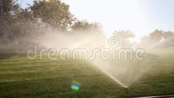 太阳直射绿色草坪浇水水溅在阳光下发光视频的预览图