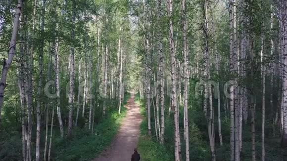 在小径上的树林里散步的人的俯视图剪辑森林里晴朗的夏日视频的预览图