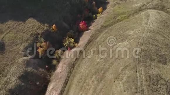 河岸上的森林山视频的预览图