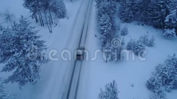 银车在雪林的冬日乡间小路上行驶视频的预览图