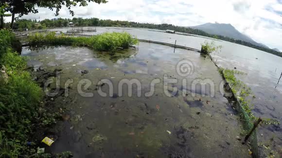 烂废弃的竹结构建在湖岸上视频的预览图
