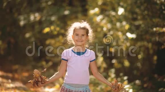 小女孩在黄秋林里捧着黄叶美丽的阳光小女孩在秋天散步视频的预览图