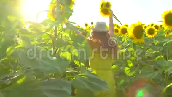 美丽的女孩红色的长发在黄色的向日葵田上奔跑举手户外快乐的女人少年青少年视频的预览图