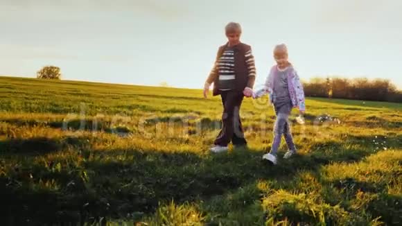 家庭价值观和经验的传递一位老妇人正在和孙女散步一幅生动的风景画视频的预览图