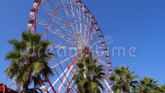 摩天轮对蓝天靠近棕榈树在度假小镇晴天视频的预览图