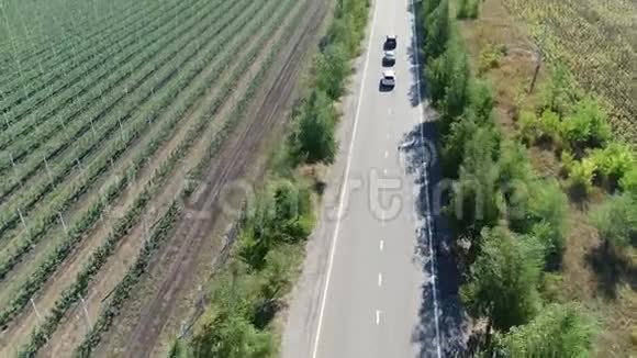 城外高速公路俯瞰全貌高速公路沿着绿地三辆车正在行驶视频的预览图