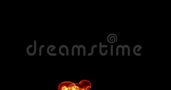 现实的火焰燃烧与灰升运动框架在黑色背景阿尔法视频的预览图