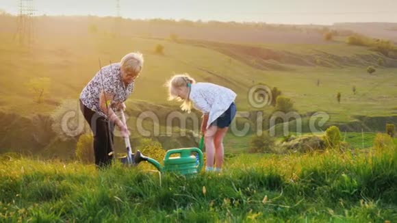 祖母和孙女一起种了一棵树在风景如画的草地和青山的背景下视频的预览图