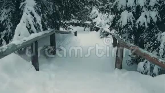 在雪地里沿着山林小径漫步视频的预览图