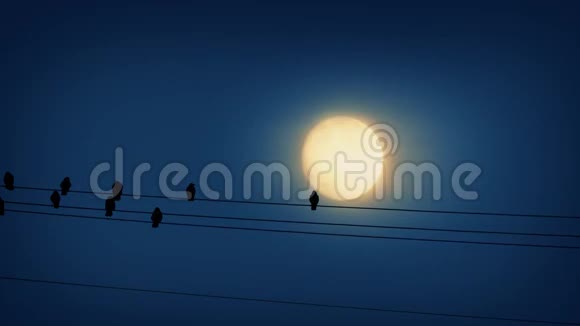 月亮前面的铁丝网上的鸟地视频的预览图