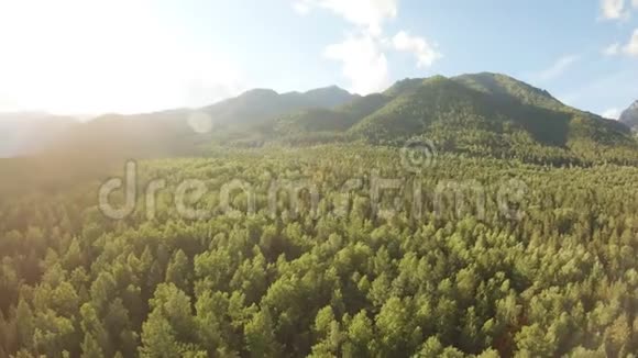 航拍美丽的山景有人从森林上空升起视频的预览图