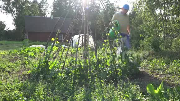 人在花园里浇豆子在花园里随便工作4K视频的预览图