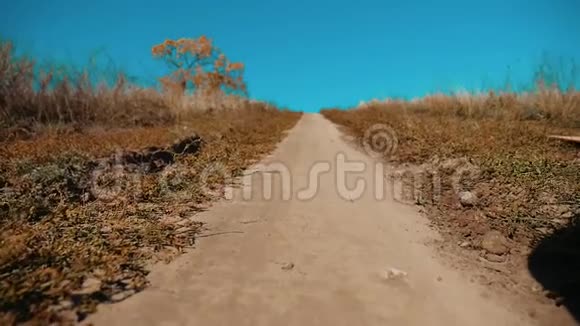 黄秋公园九月开秋天的路在田野里寂寞的树山水美丽视频的预览图