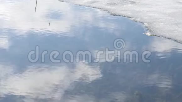 春天水和冰天空反射在水中视频的预览图