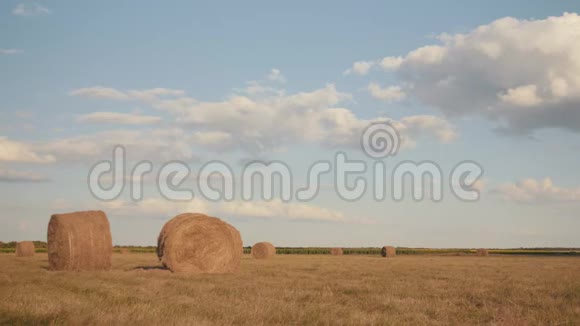 美丽的夏季农场风景与干草堆有卷和天空的田野景观农业概念视频的预览图