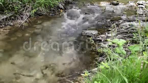 河边的小溪视频的预览图