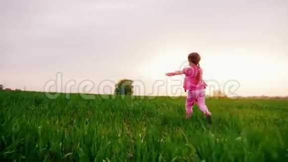 穿着粉红色衣服的无忧无虑的小女孩描绘了一架飞机沿着绿色的草地奔跑双手在两边日落时分视频的预览图