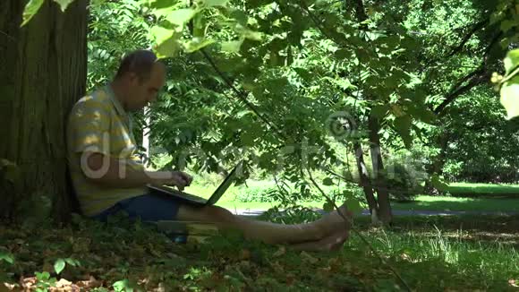 在自然公园里人们拿着笔记本电脑坐在树上工作4K视频的预览图