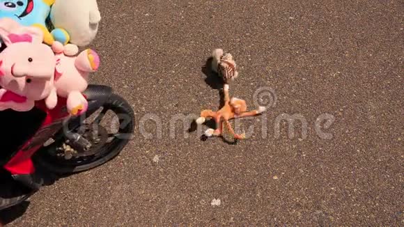 女人用小自行车把儿童玩具从人行道上带走视频的预览图