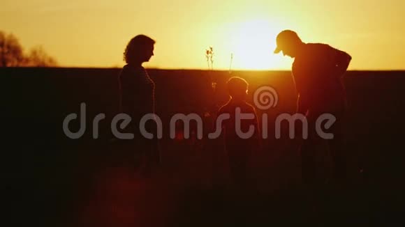 一个友好的家庭在日落时种树爸爸妈妈和小儿子一起工作剪影录像视频的预览图