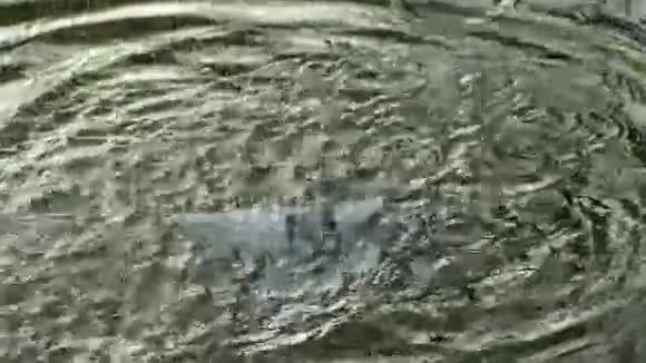 纸船在雨中下沉视频的预览图