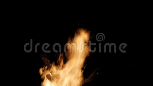 大篝火的树枝在夜晚燃烧视频的预览图