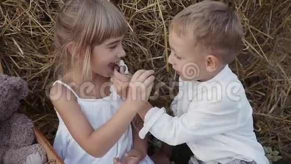 两个漂亮的孩子去葡萄田在战场上快乐的孩子一个穿白色衣服的男孩视频的预览图